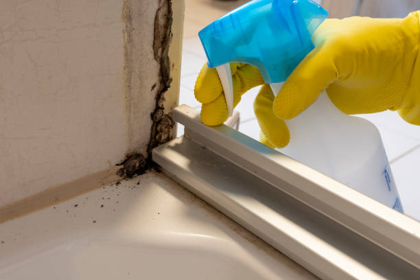 Best Mold Remediation  in Hobart, WI