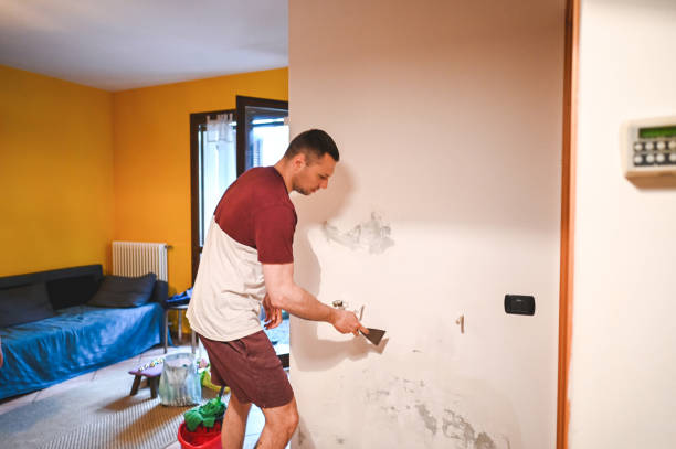 Reliable Hobart, WI Mold Removal Solutions