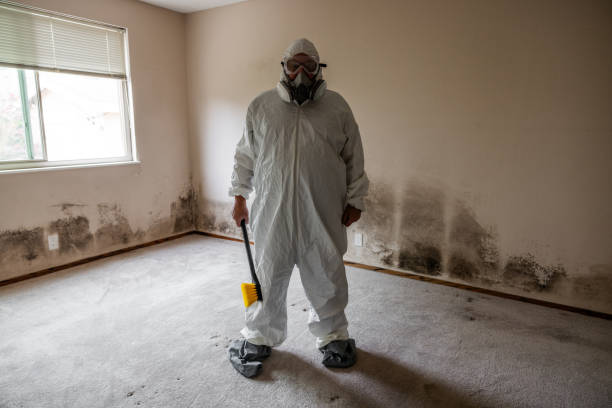 Best Attic Mold Removal  in Hobart, WI